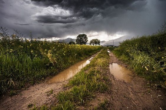 Chuvas extremas no Sul geram prejuízo bilionário para produção agrícola