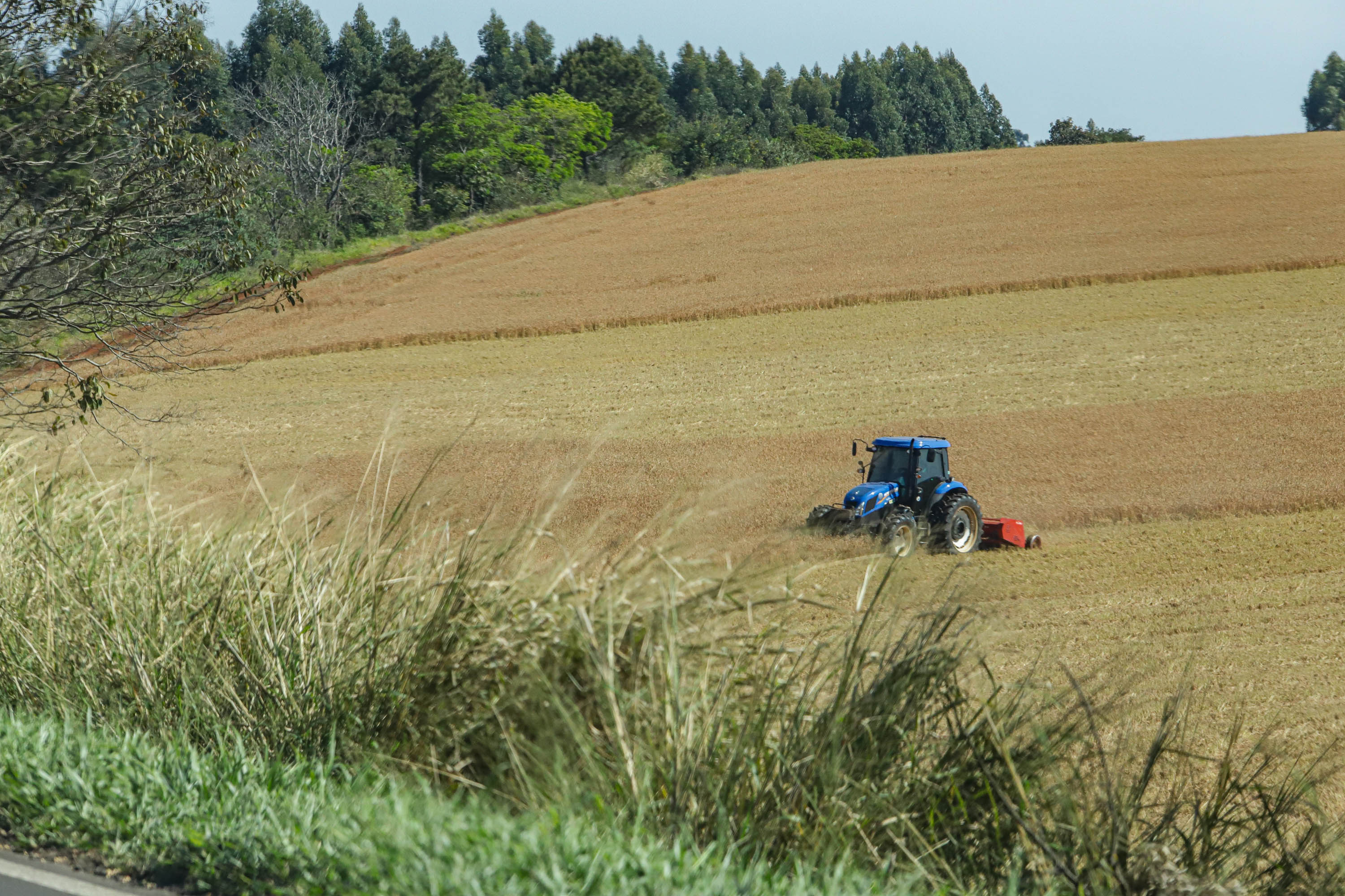 Clima quente impacta na produção agrícola do Paraná