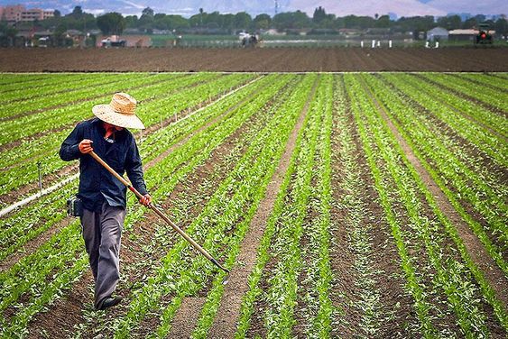 Nova política industrial prevê R$ 20 bi para mecanização da agricultura familiar