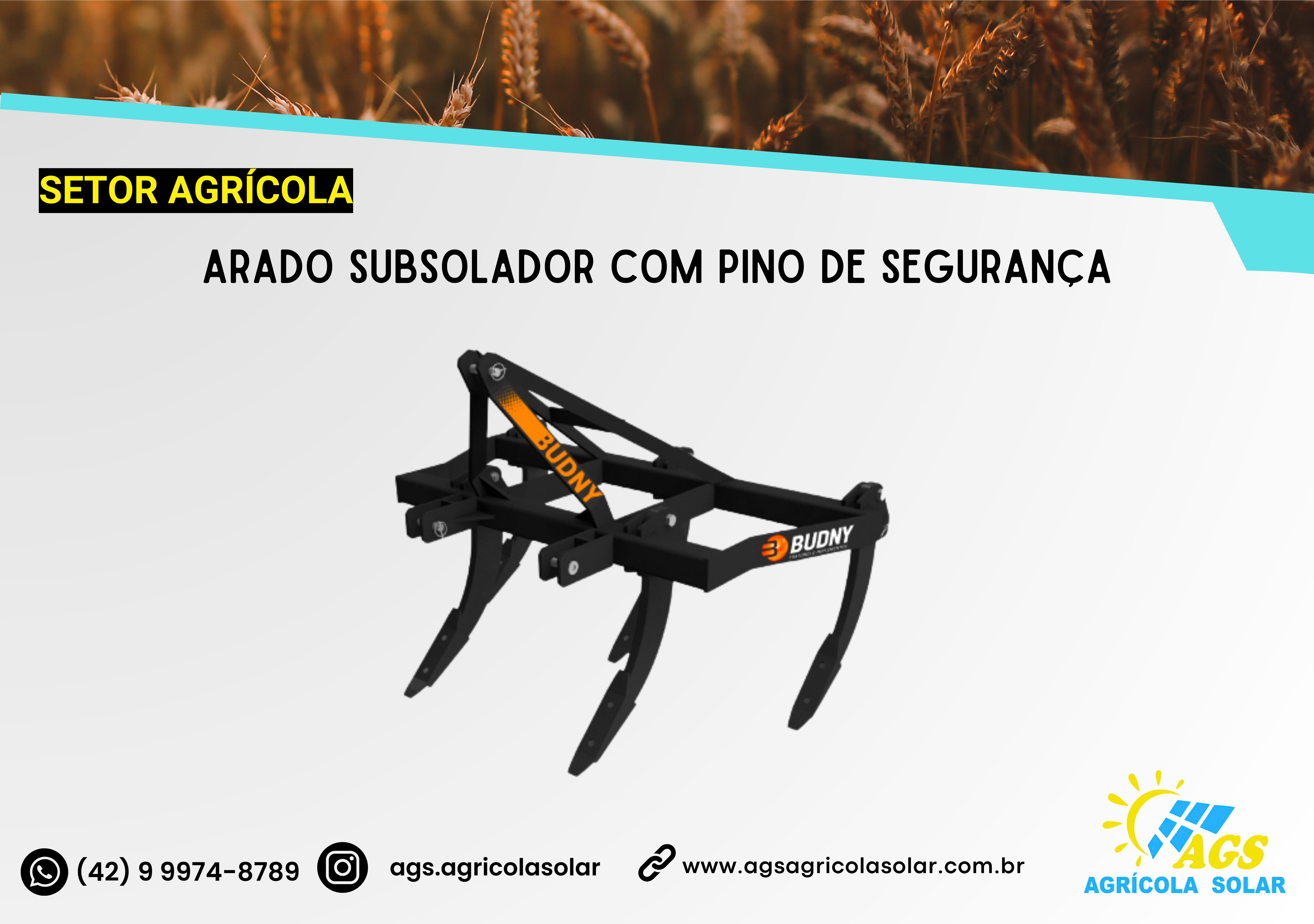 ARADO SUBSOLADOR COM PINO DE SEGURANÇA