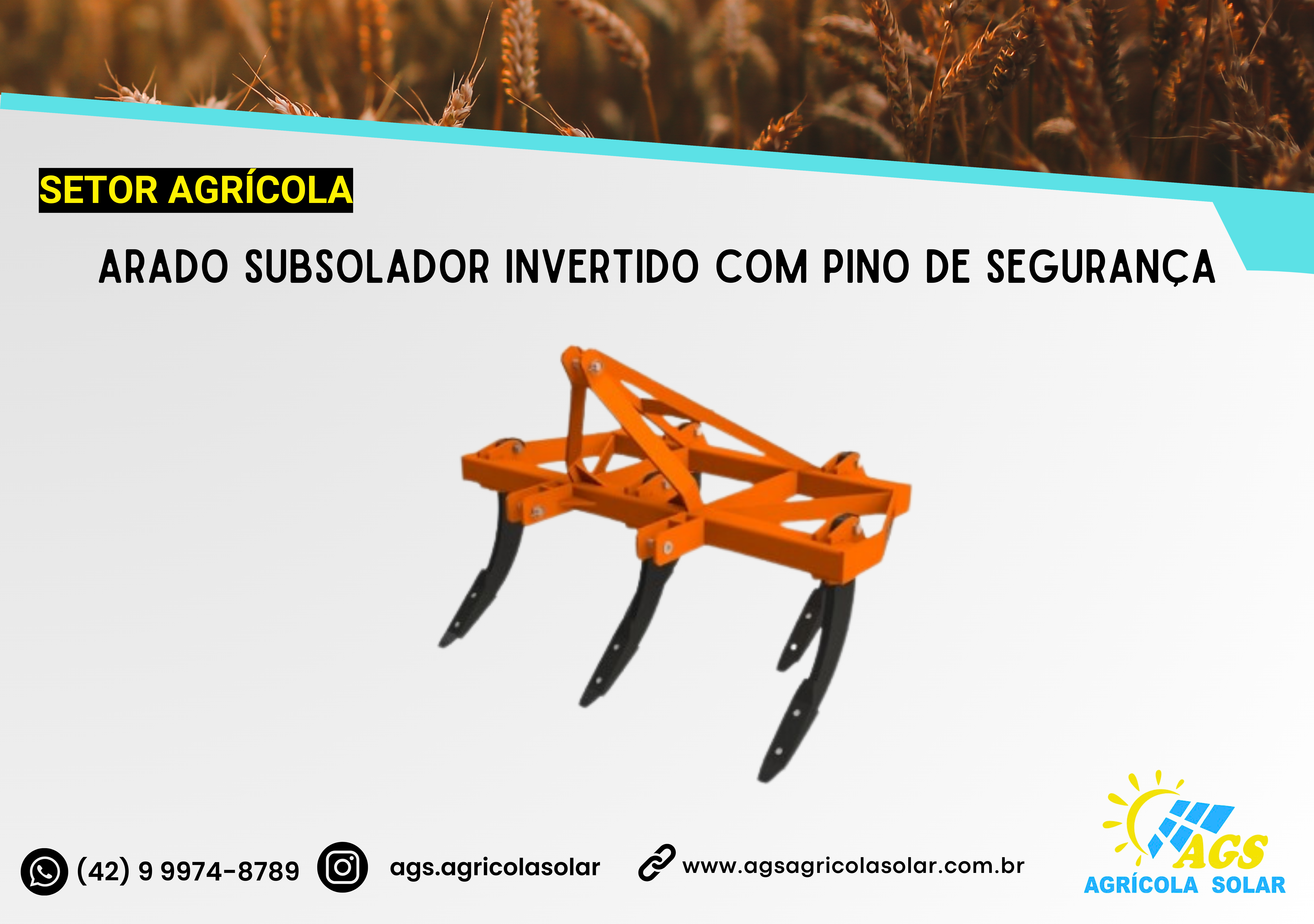 ARADO SUBSOLADOR INVERTIDO COM PINO DE SEGURANÇA