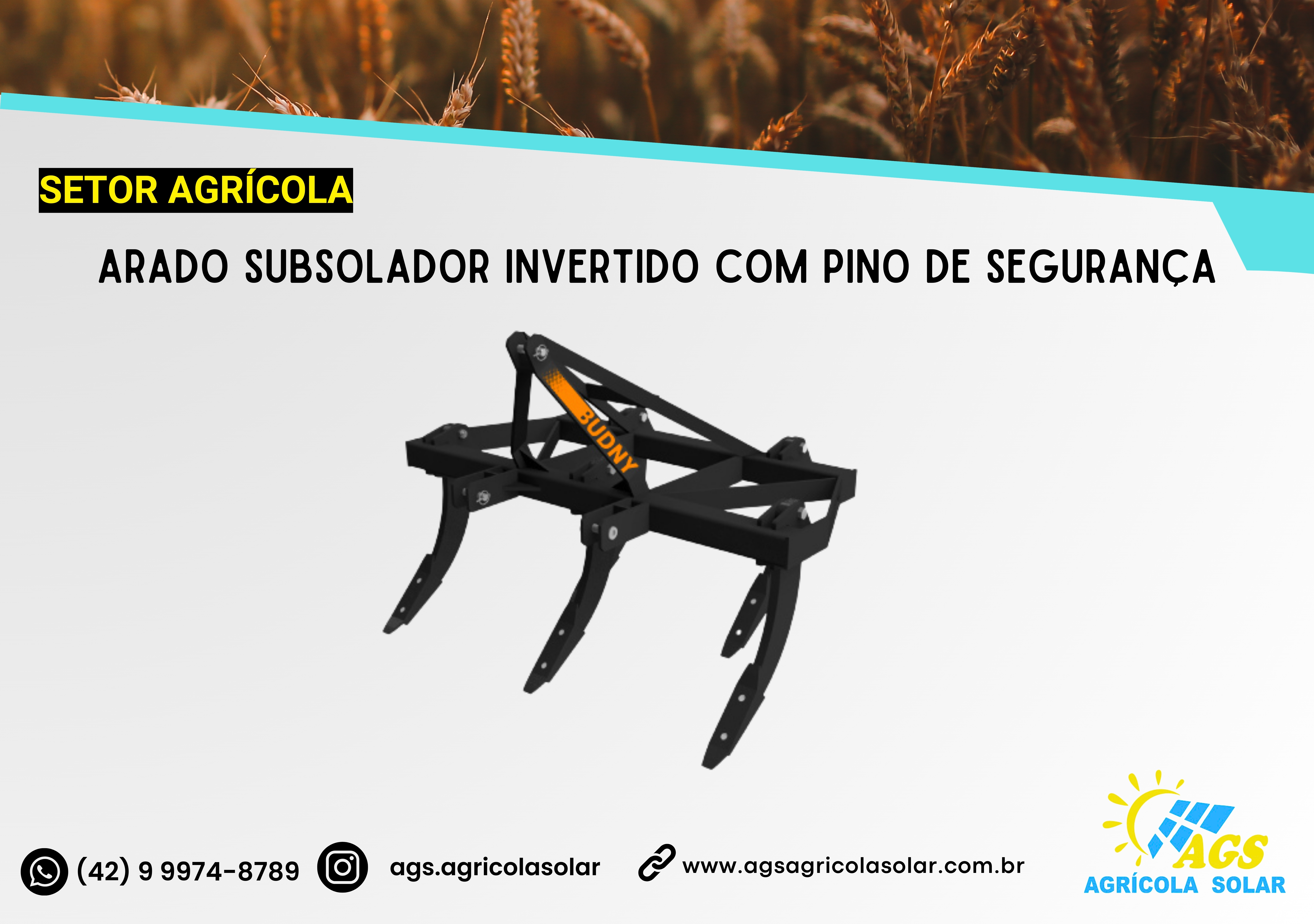 ARADO SUBSOLADOR INVERTIDO COM PINO DE SEGURANÇA