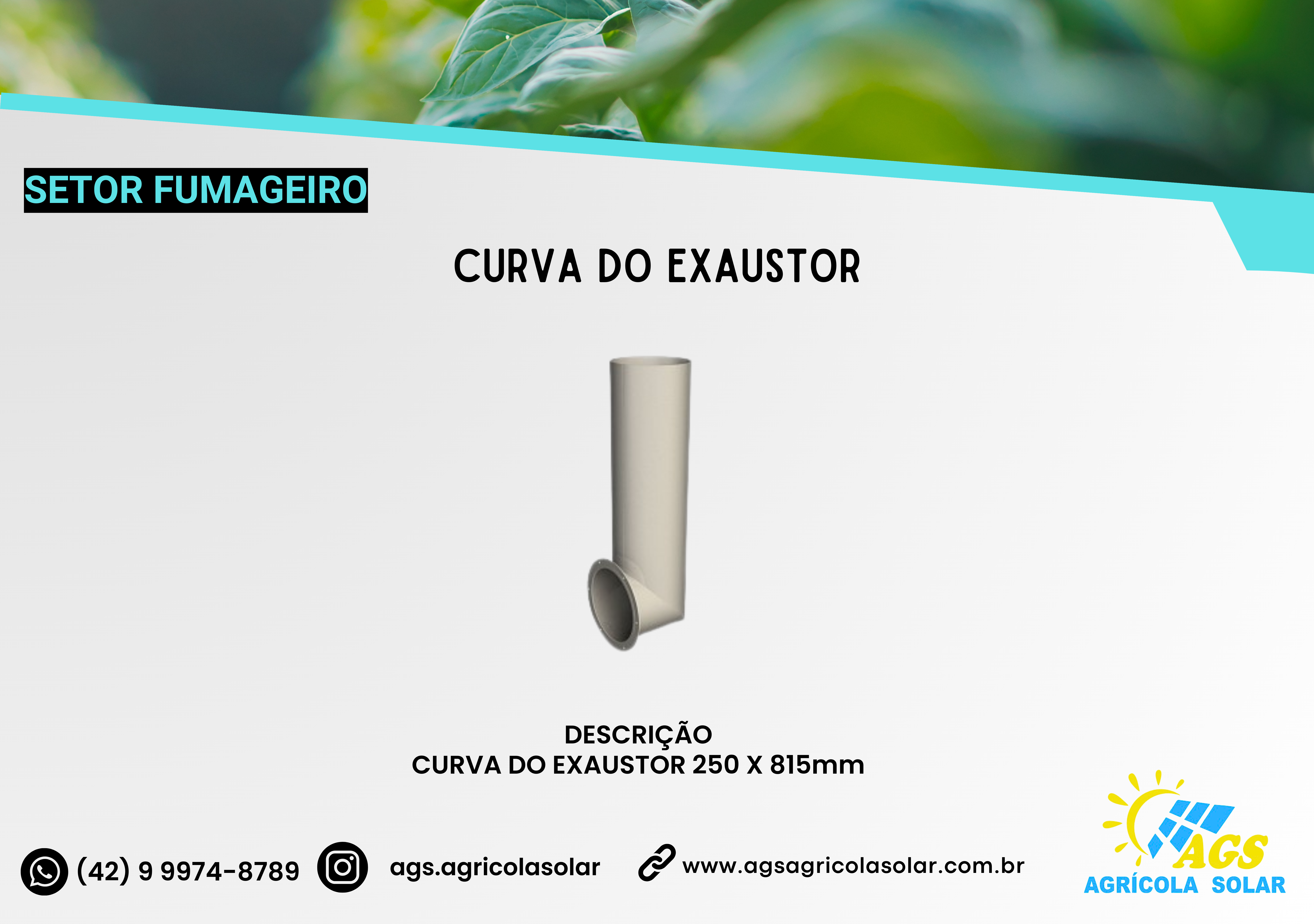 CURVA DO EXAUSTOR