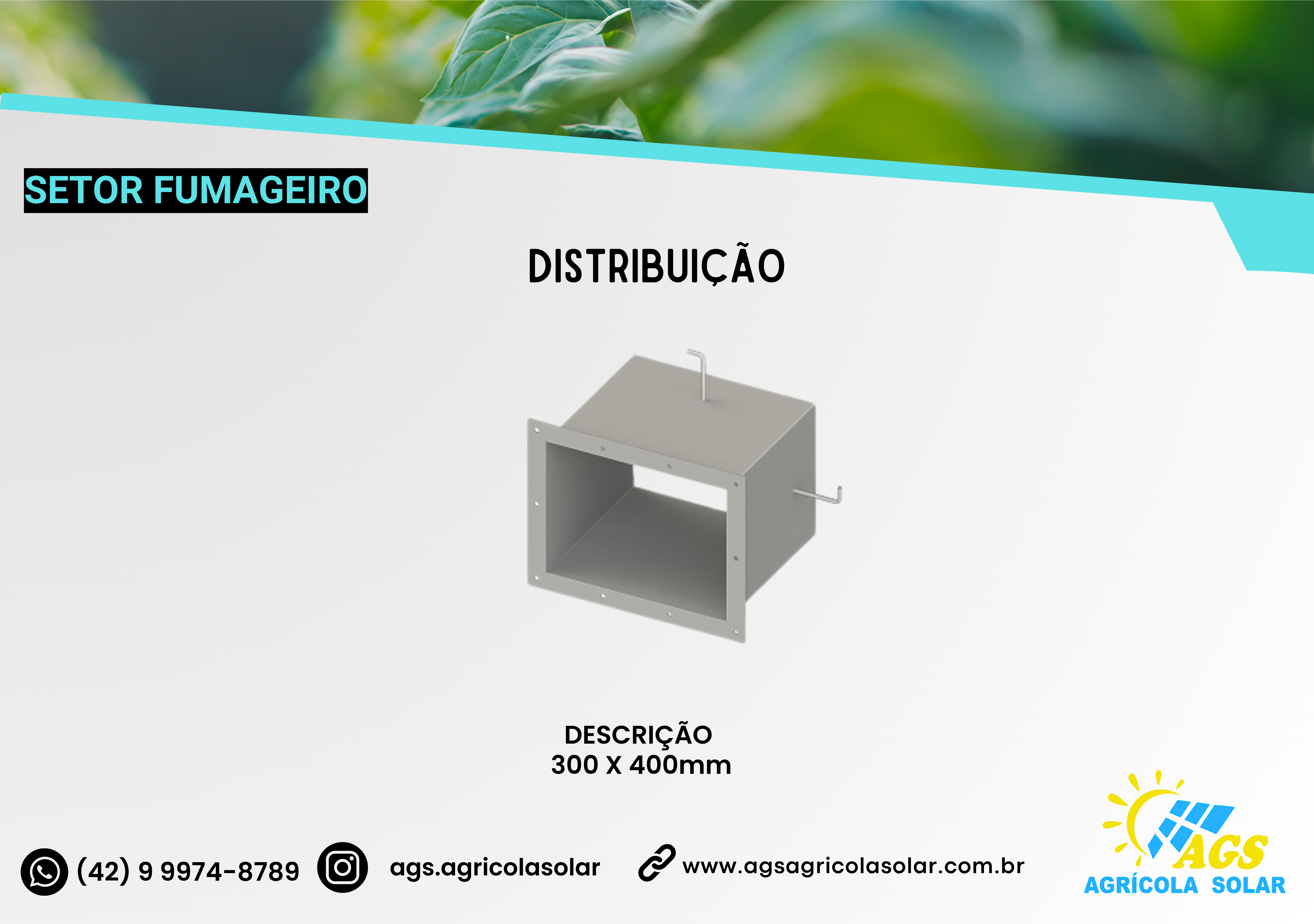 DISTRIBUIÇÃO