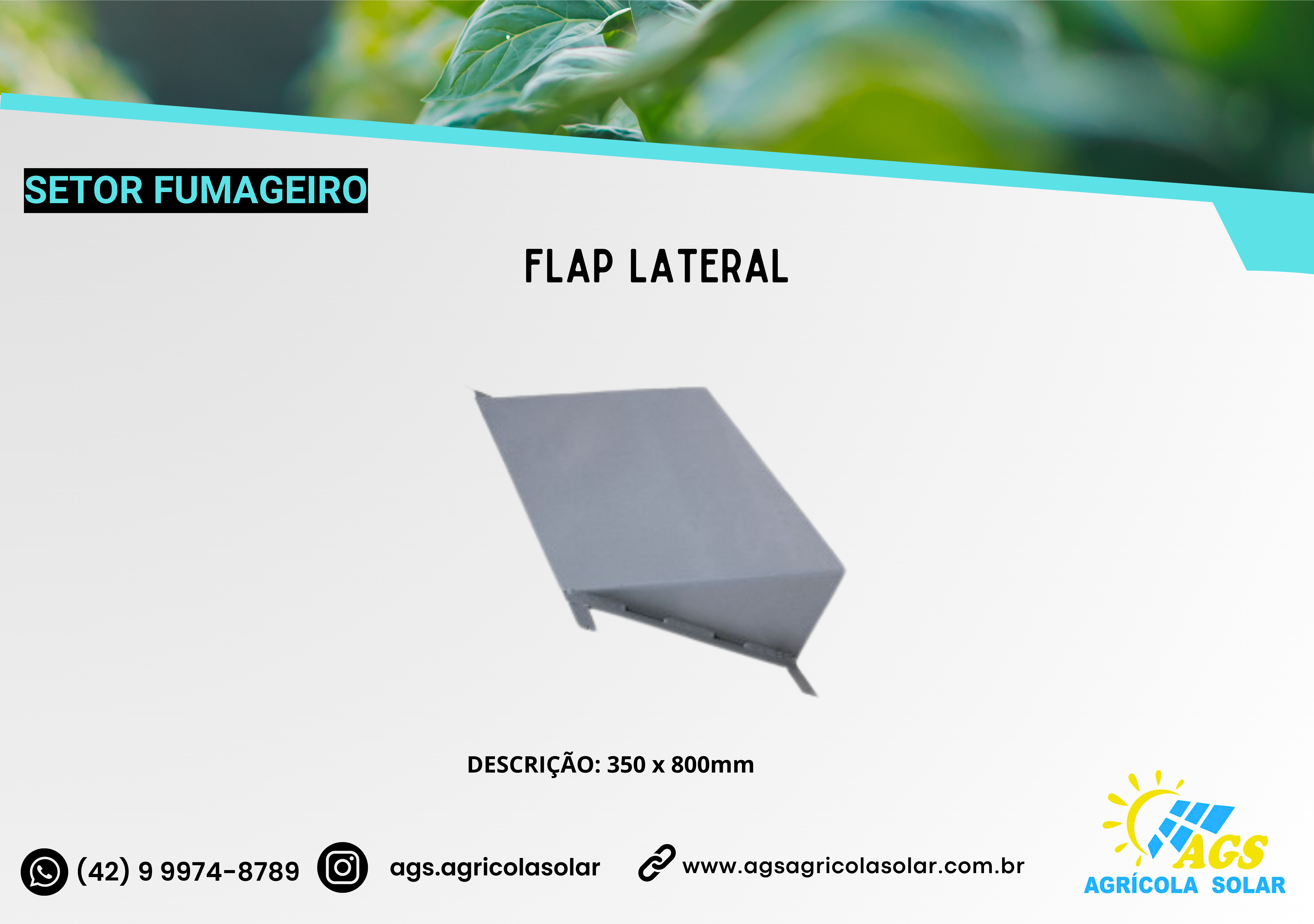 FLAP LATERAL