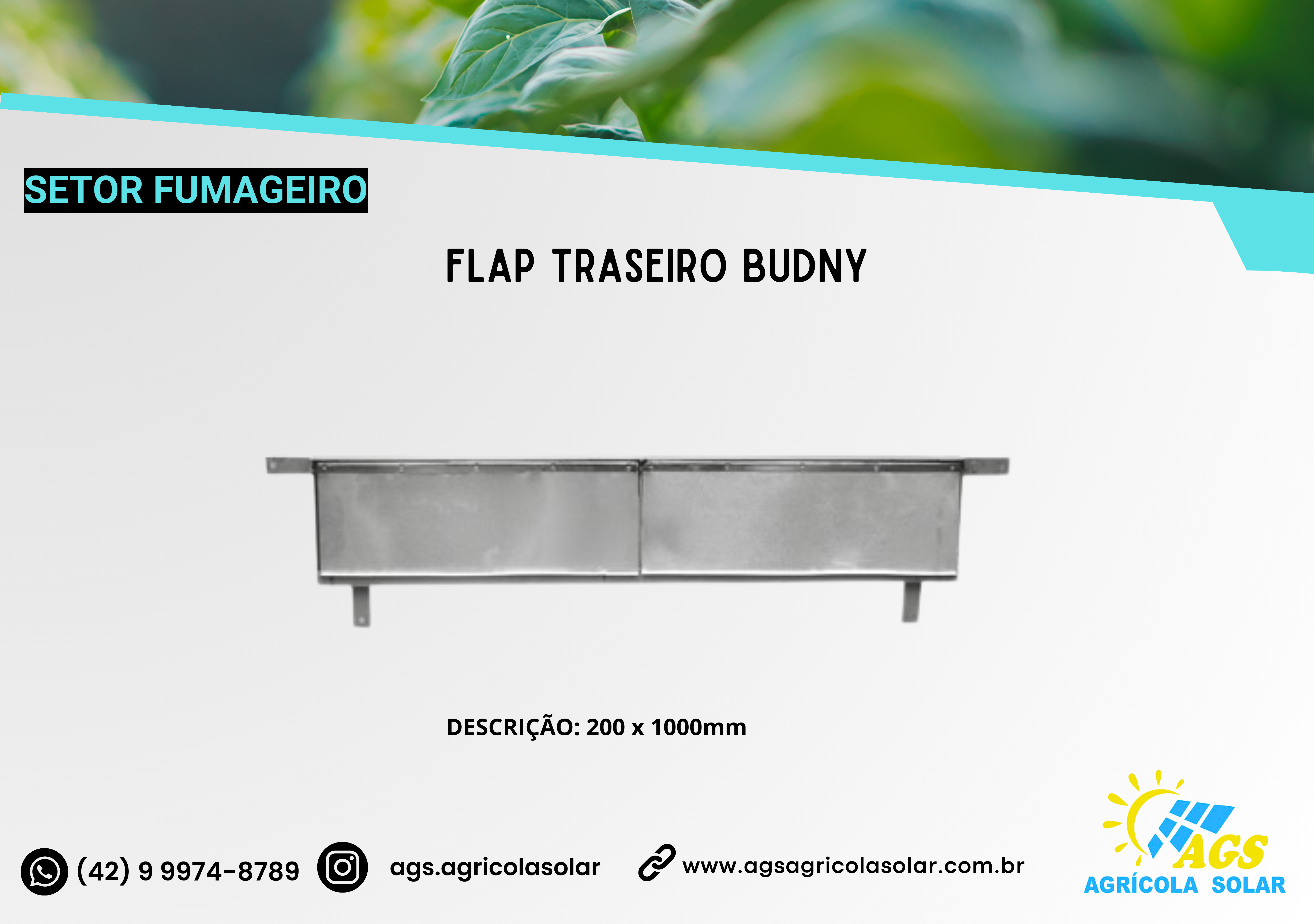 FLAP TRASEIRO BUDNY