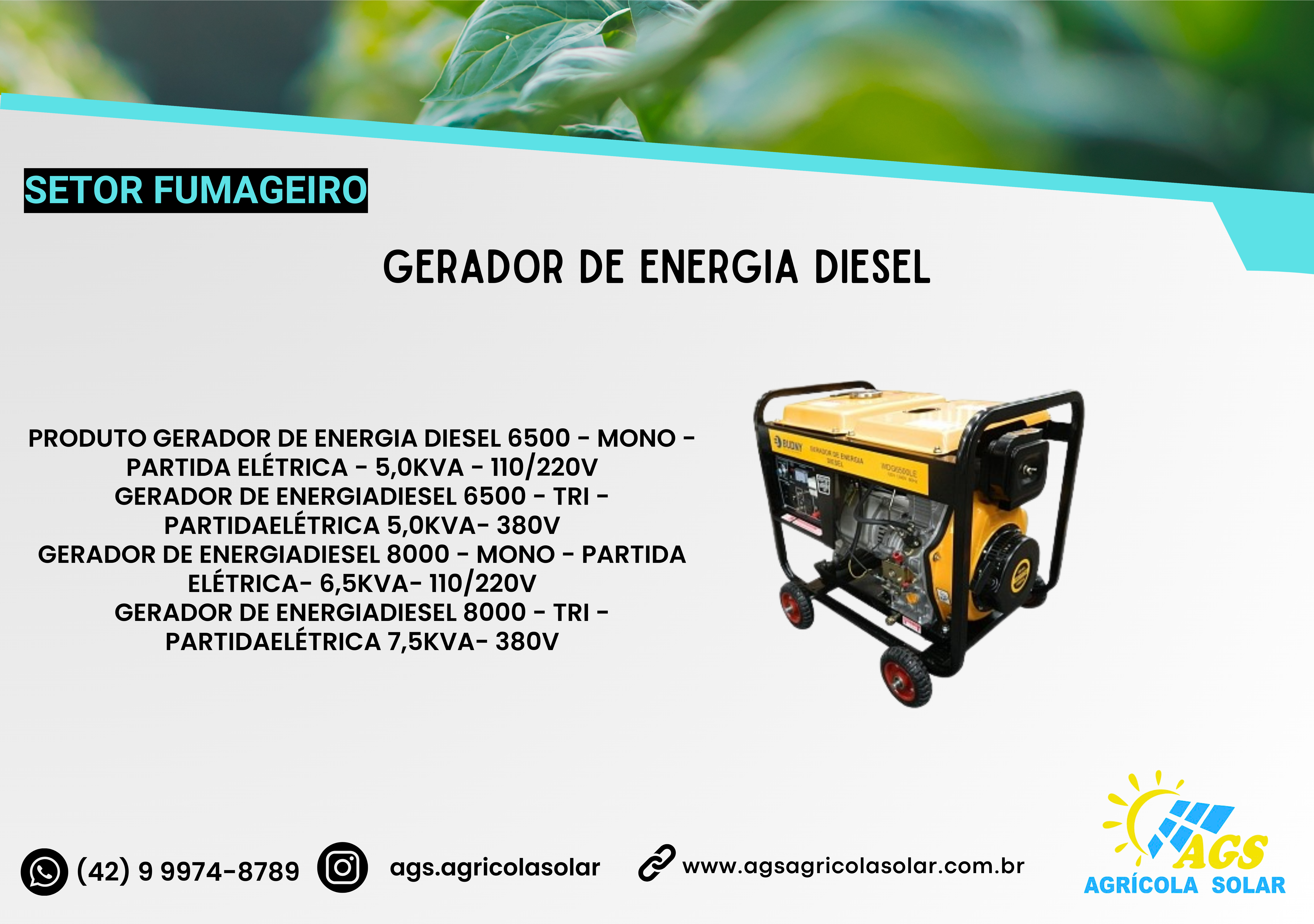 GERADOR DE ENERGIA BUDNY