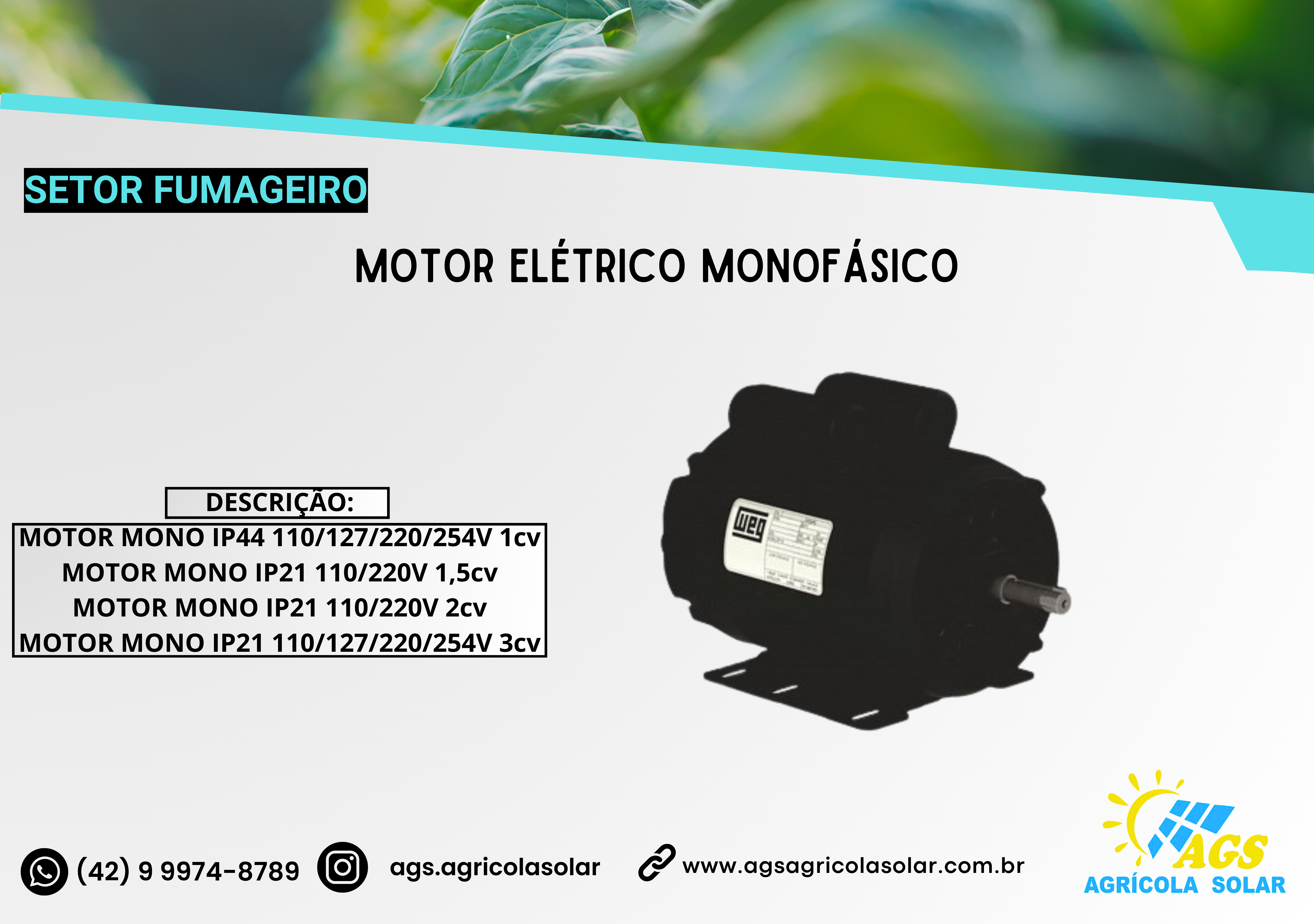 MOTOR ELÉTRICO MONOFÁSICO