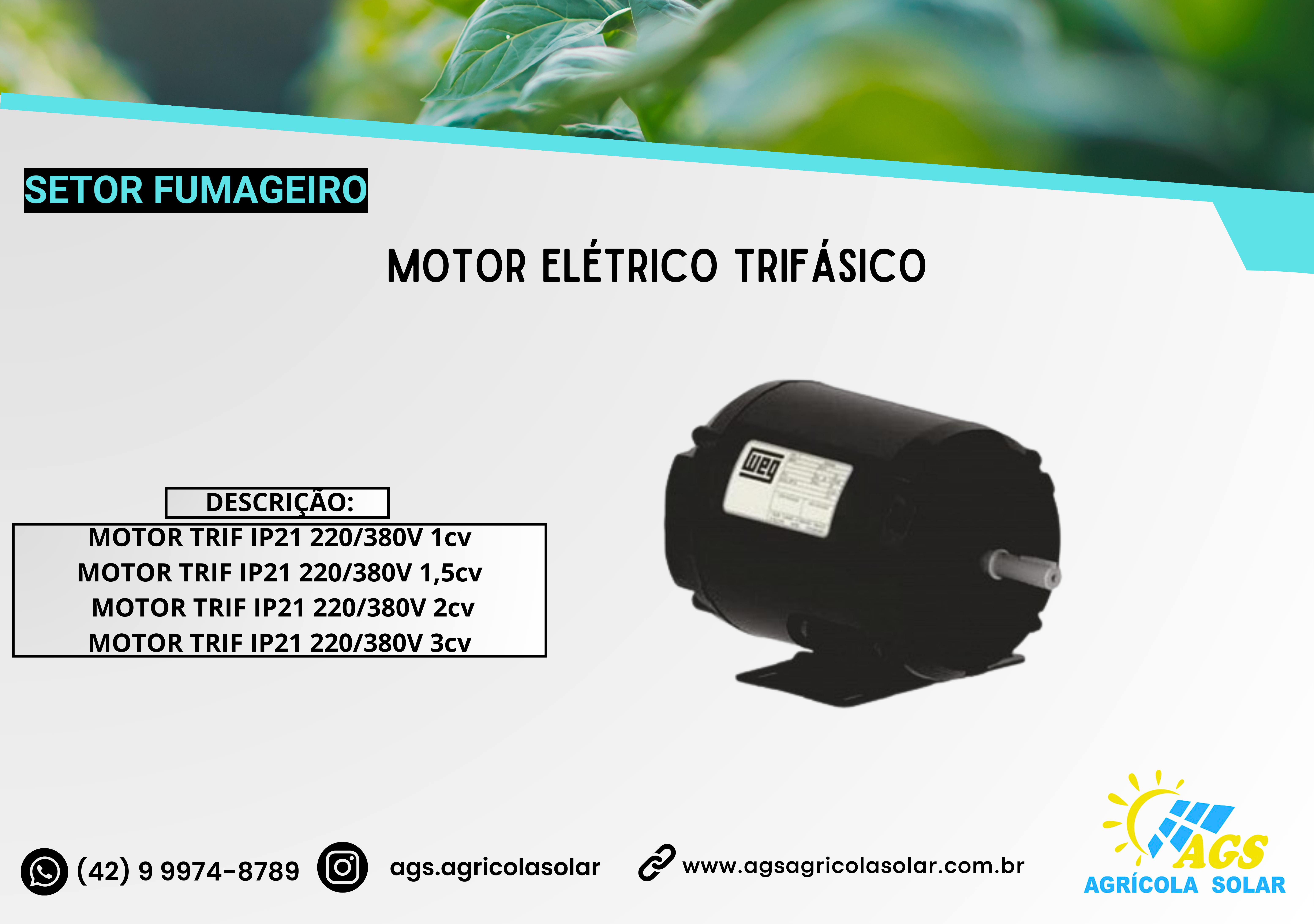 MOTOR ELÉTRICO TRIFÁSICO