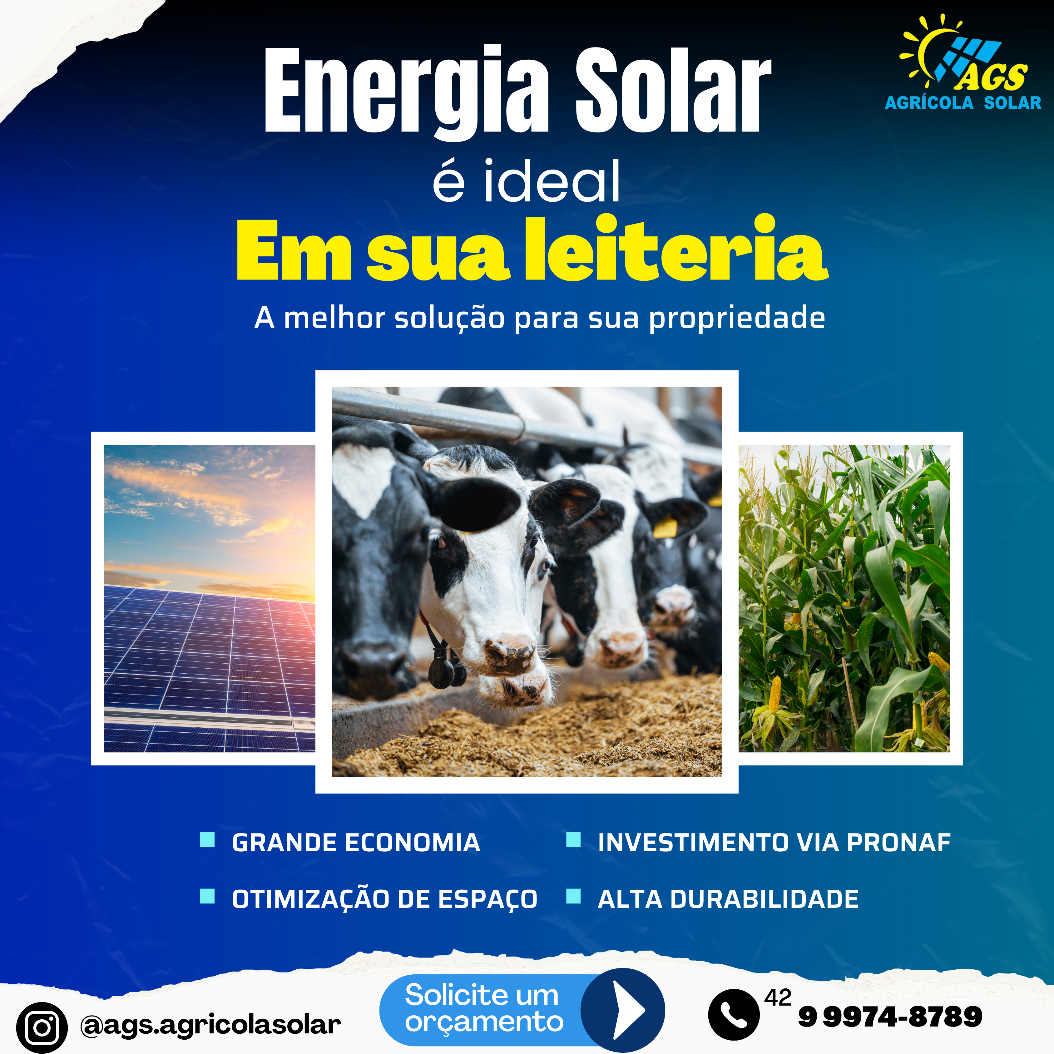 Os benefícios da energia solar na produção leiteira